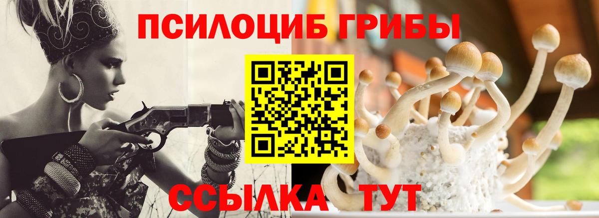 Псилоцибиновые грибы GOLDEN TEACHER Волхов