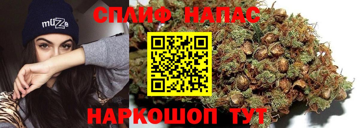 Бошки Шишки VHQ  Вход с VPN  Волхов  Каннабис Ganja  Шишки марихуана SATIVA & INDICA 